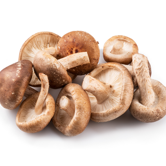 Bio Shiitake Pilze 200g