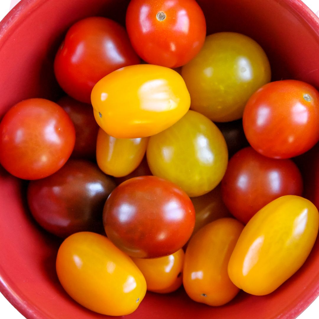 Cocktailtomaten 500g