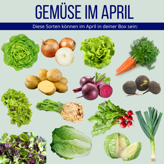 Regionale Gemüsekiste